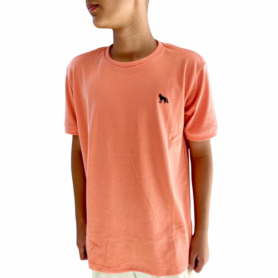 Camiseta masculina malha peruana